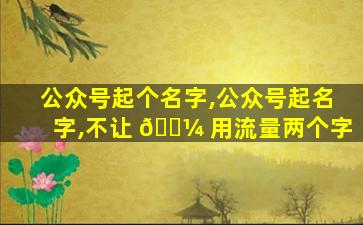 公众号起个名字,公众号起名字,不让 🐼 用流量两个字